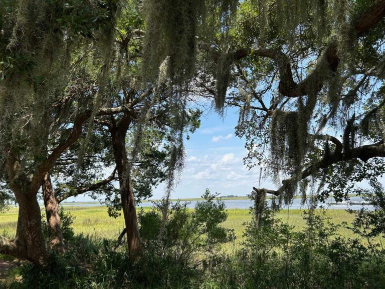 The Process of Recalibration